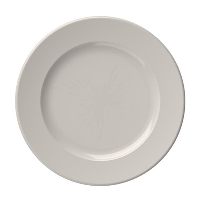 Transparent Frame Flat Plate 25 cm